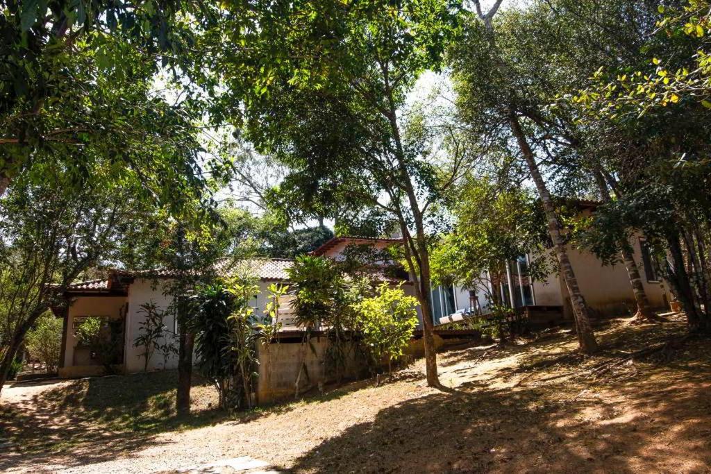 Canto dos pássaros