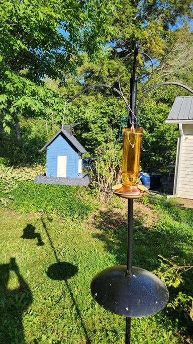 South Algonquin Cottage