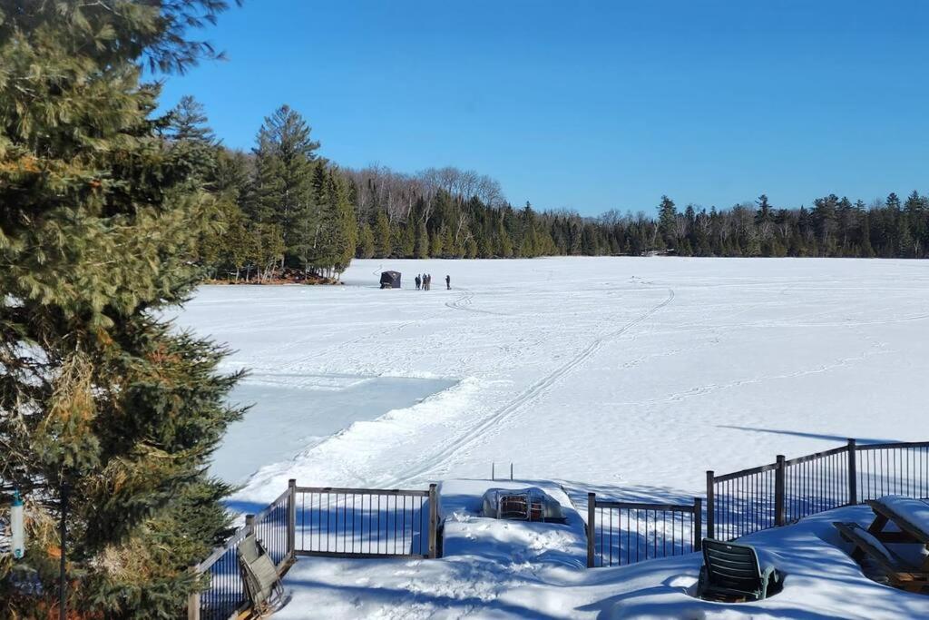 South Algonquin Cottage