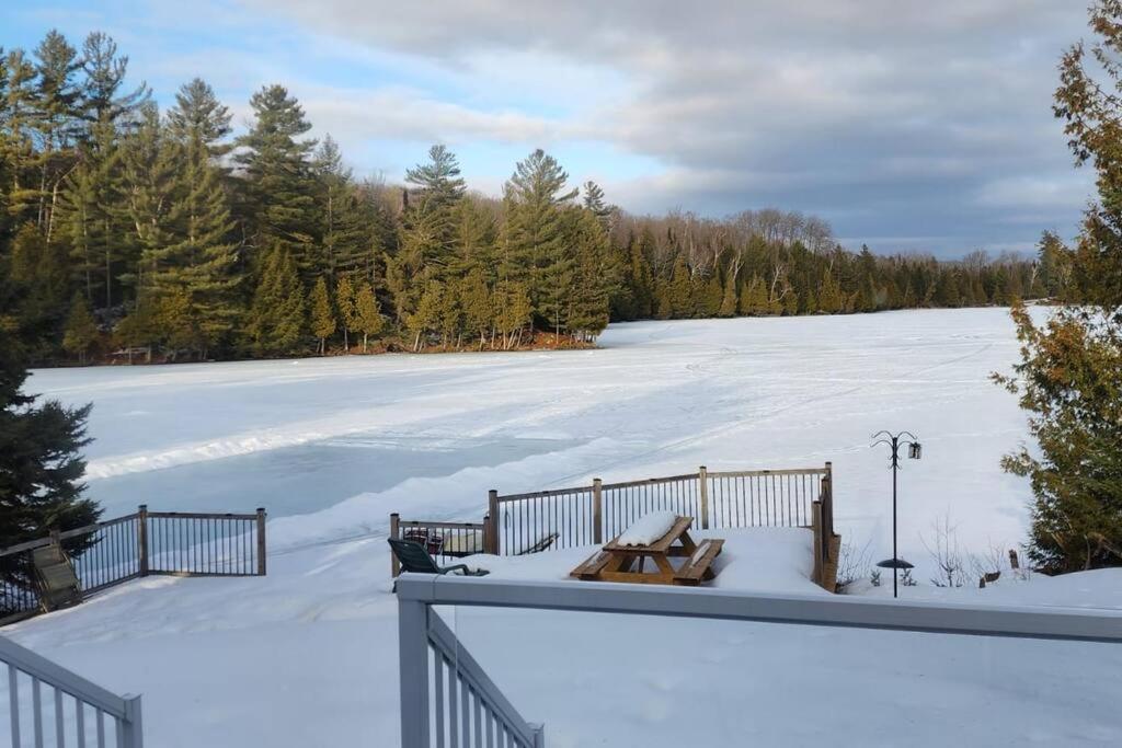 South Algonquin Cottage