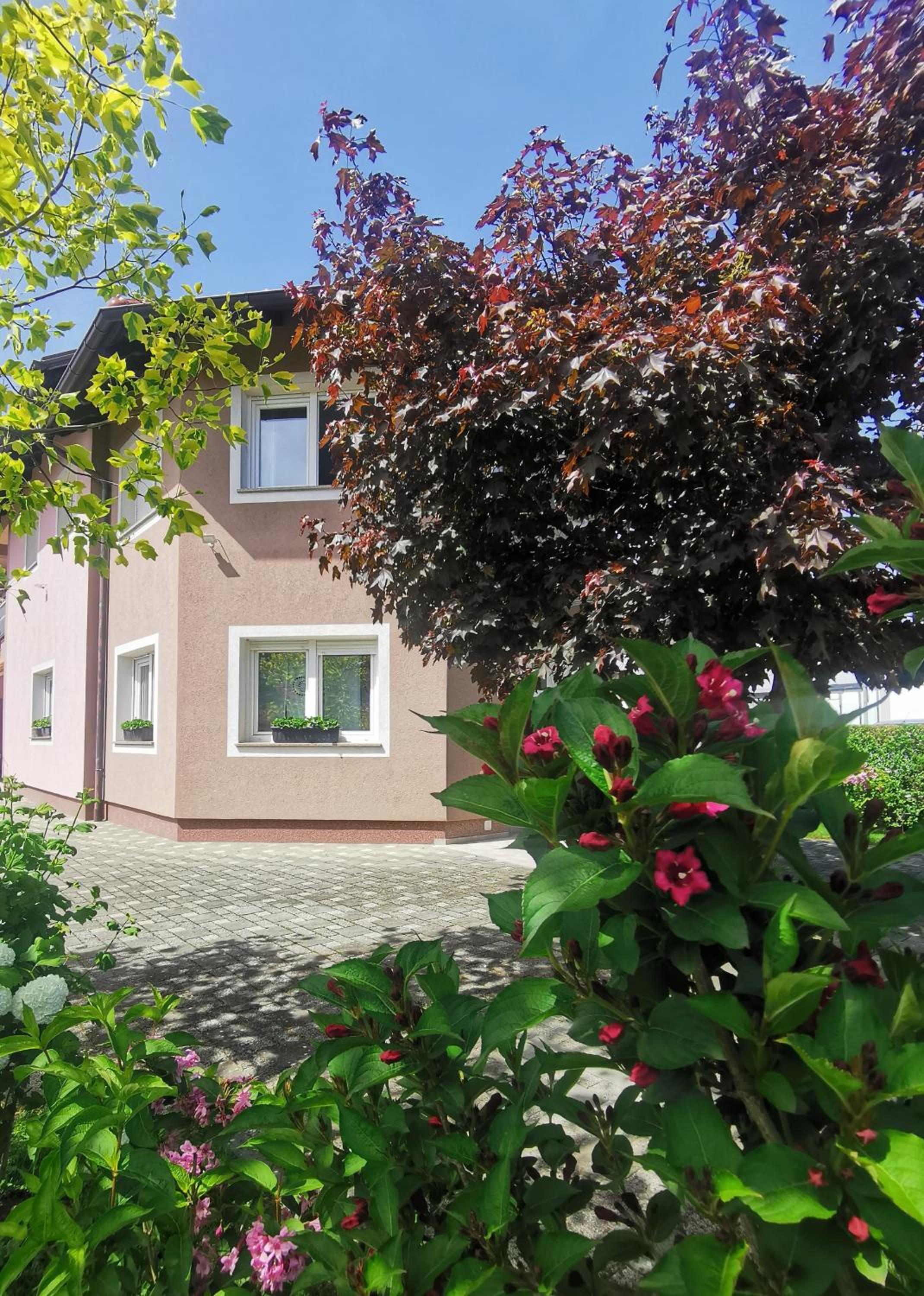 Apartmani Jastreb 2