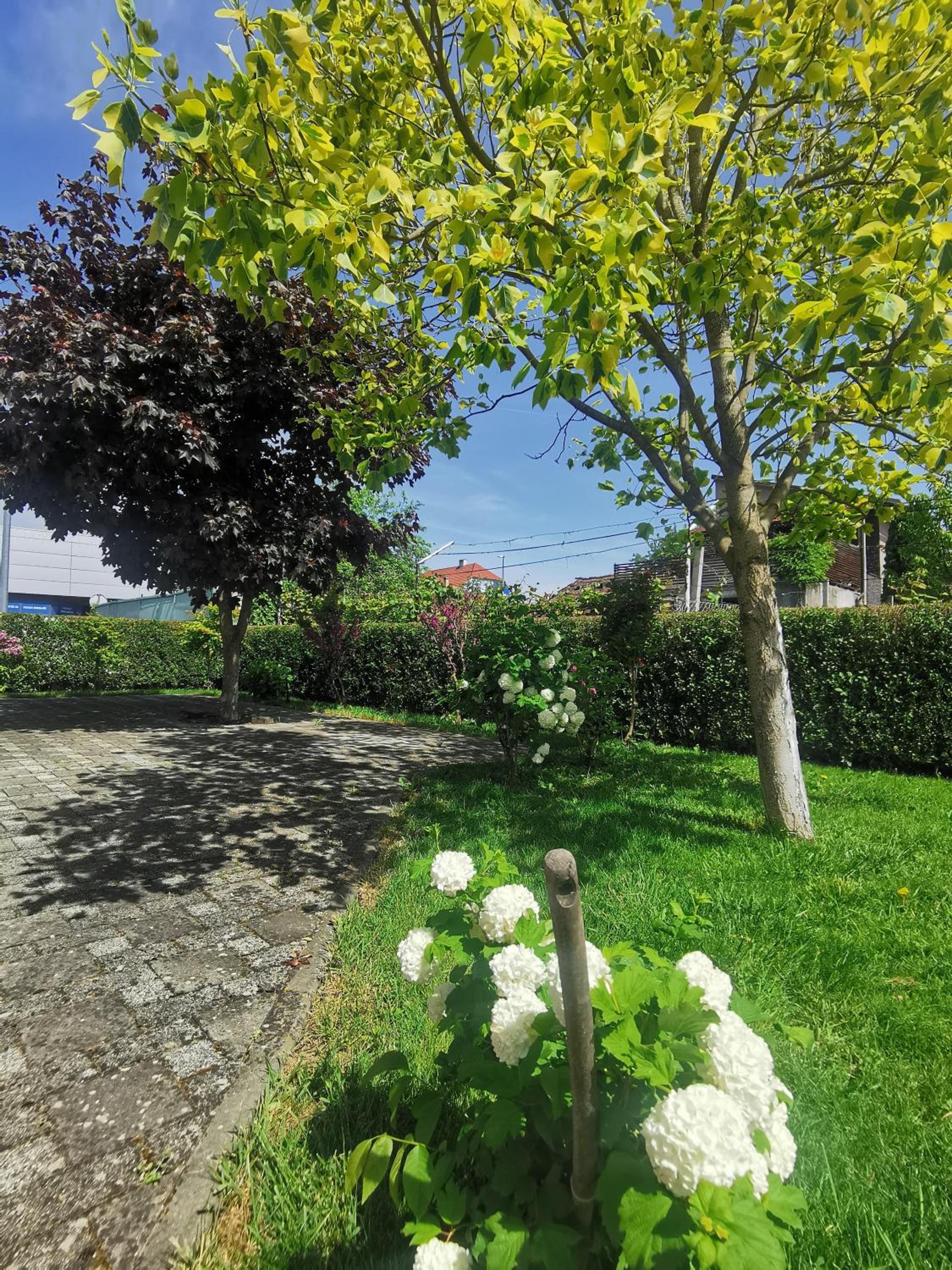 Apartmani Jastreb 2