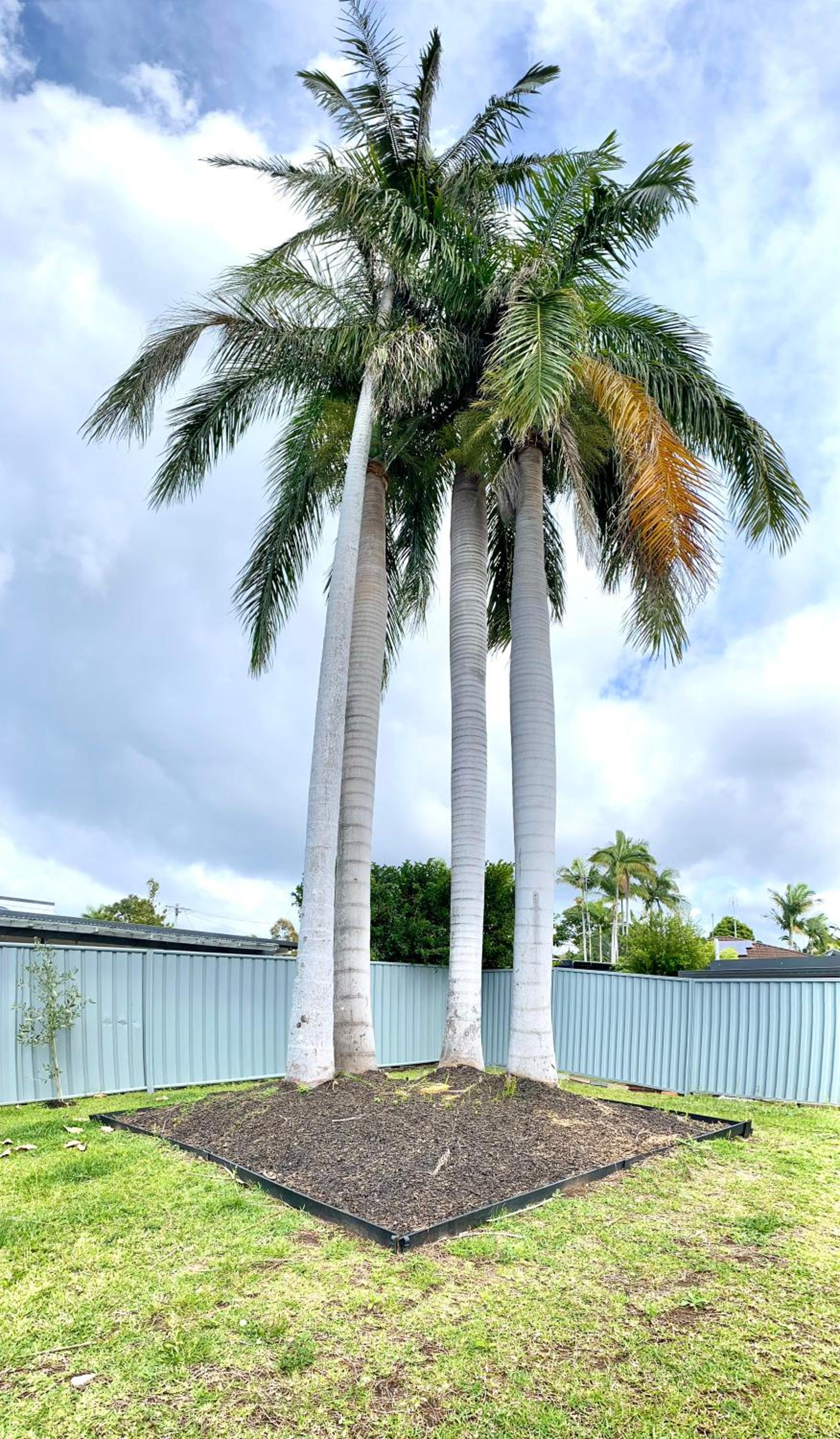 Labrador Beach Escape - Entire Property
