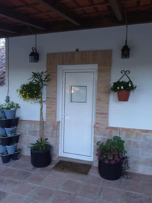 Photo 46