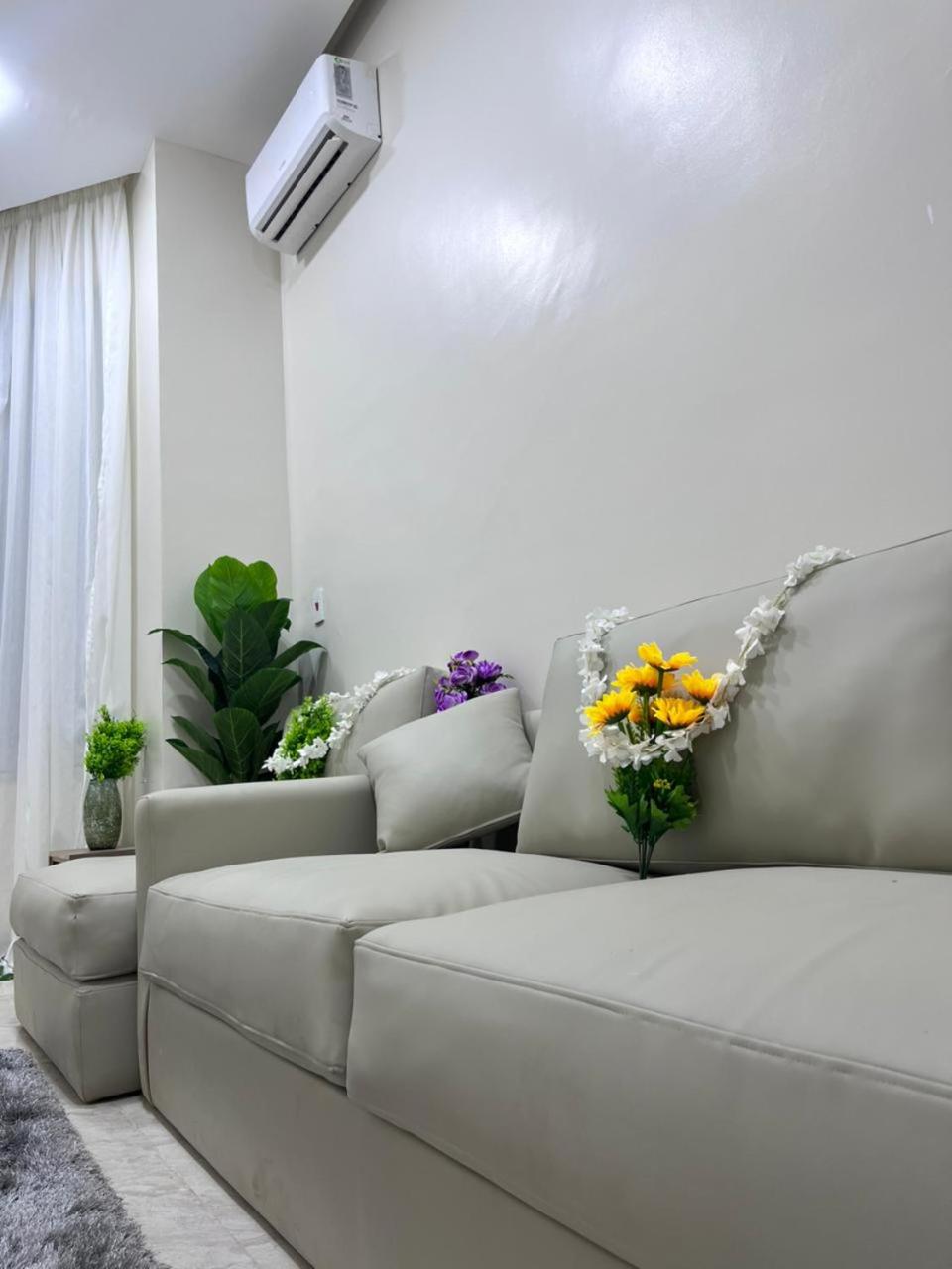 New Downtown studios in cairo