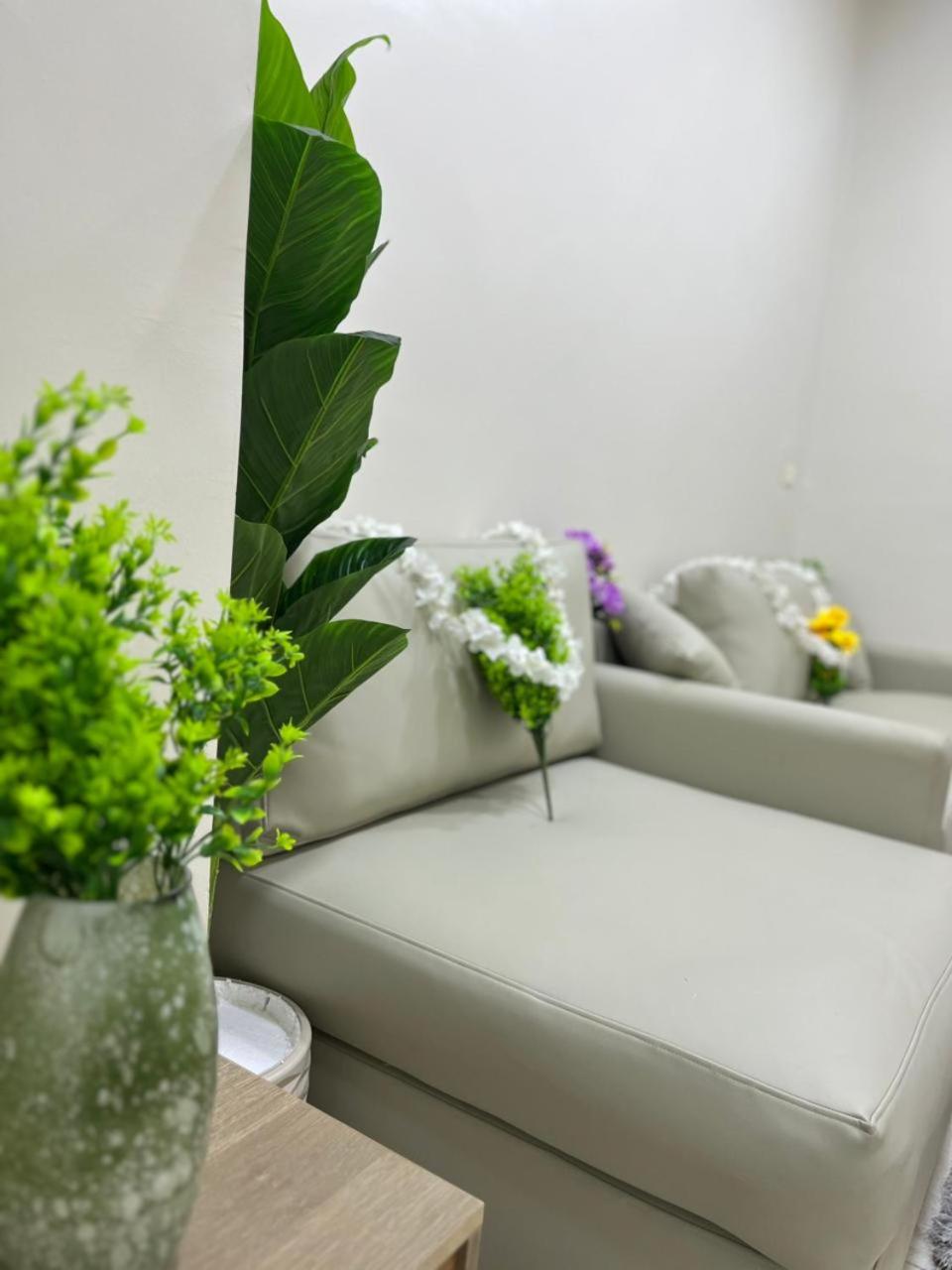 New Downtown studios in cairo
