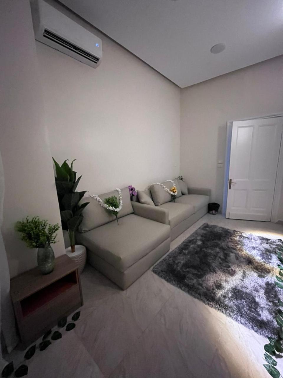 New Downtown studios in cairo