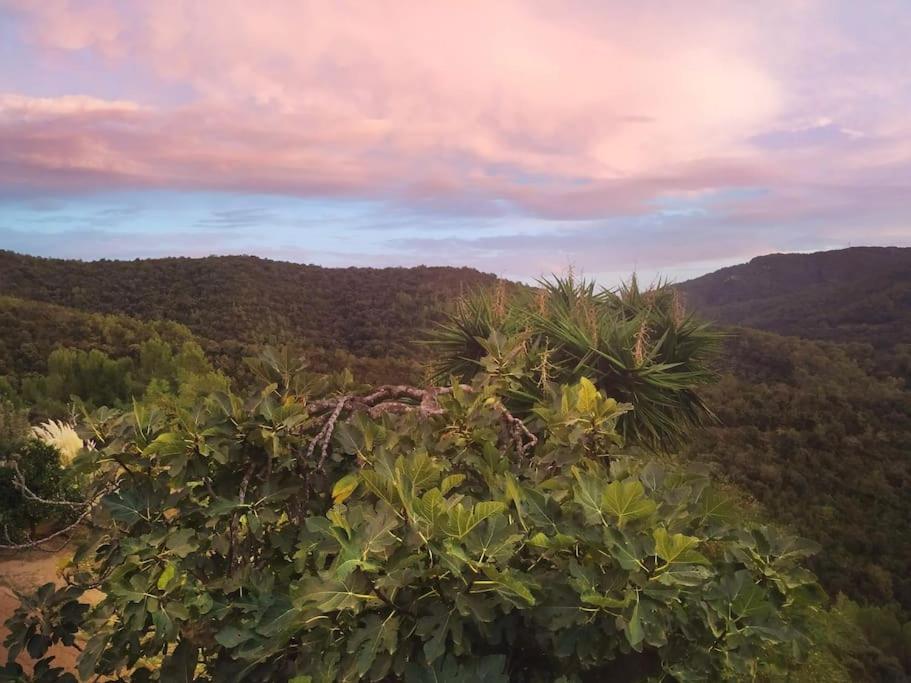 Apartamento en medio de la naturaleza, con fantásticas vistas