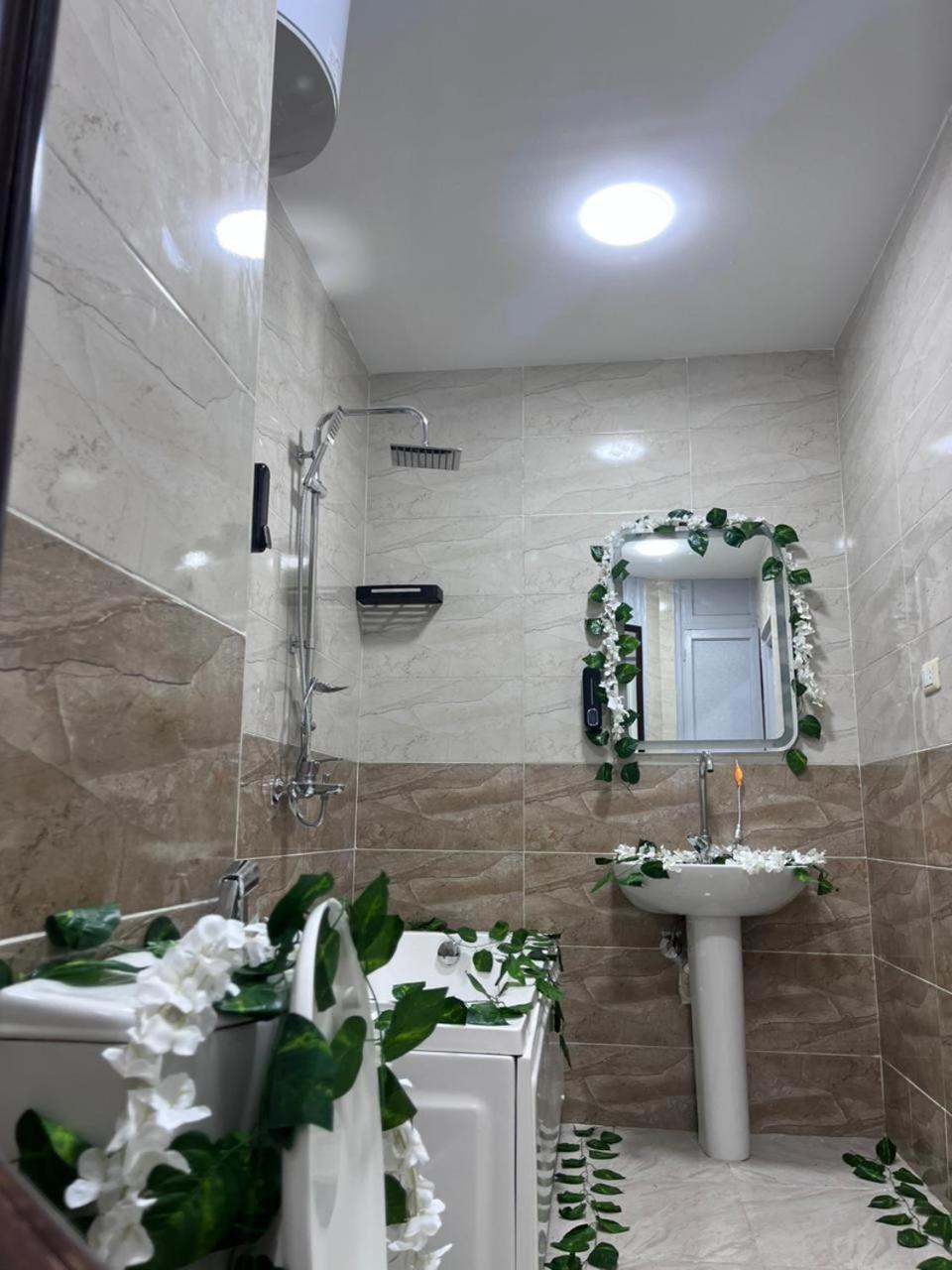 New Downtown studios in cairo