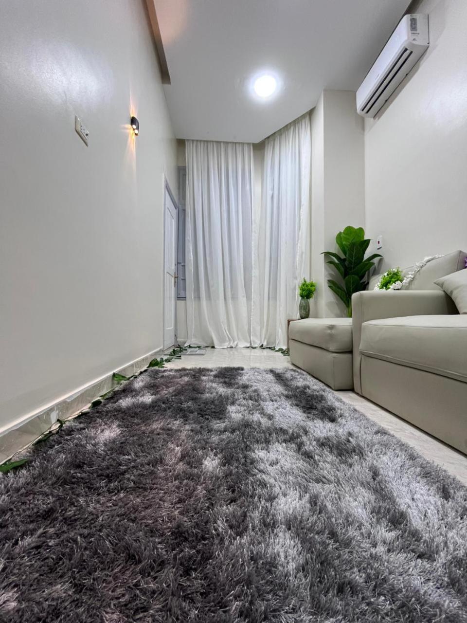 New Downtown studios in cairo