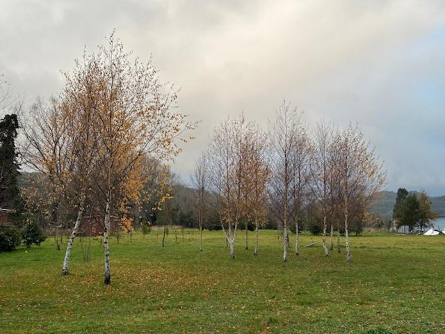 Cabaña Lago Puyehue