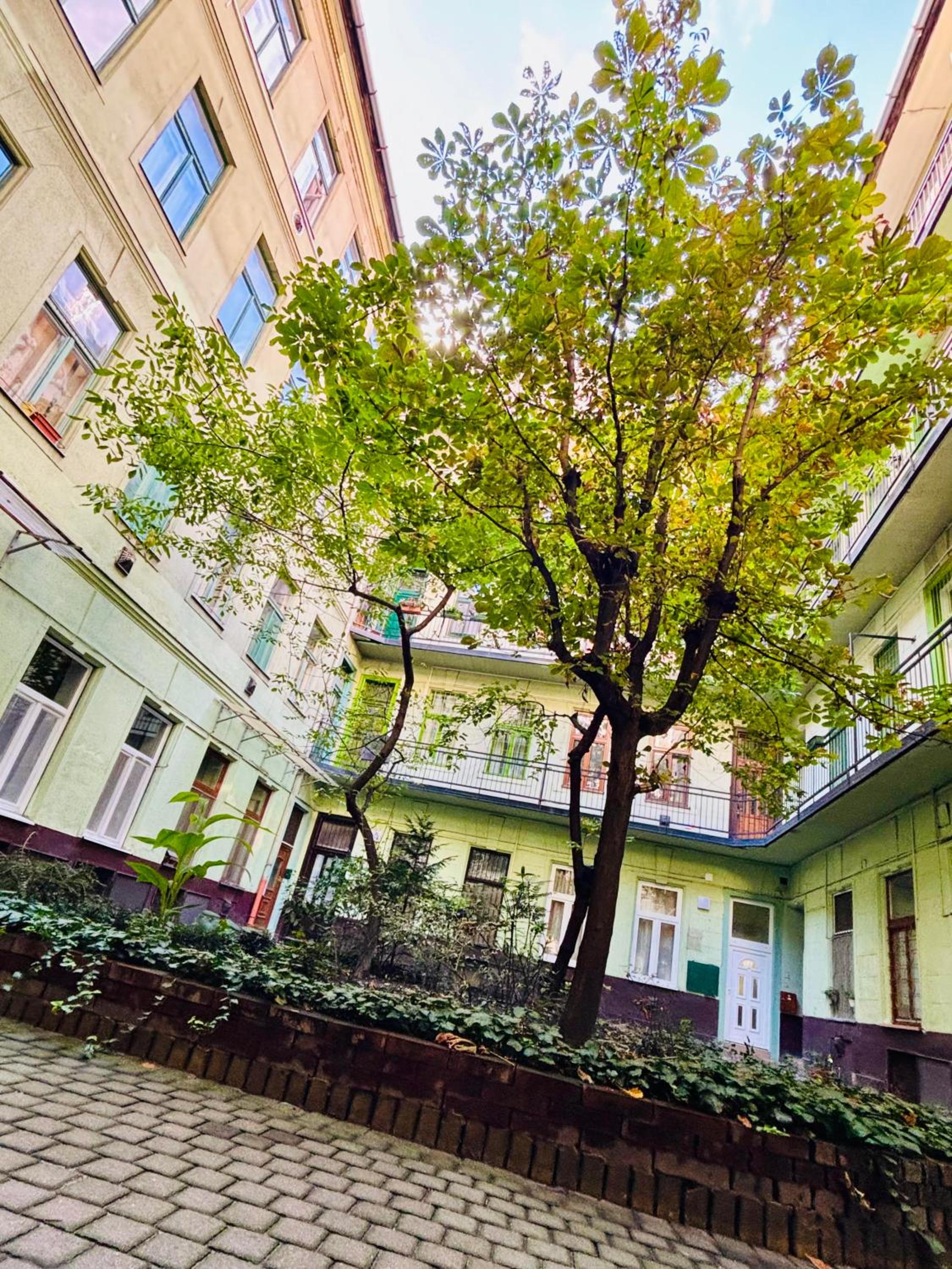 Ava Central Residence