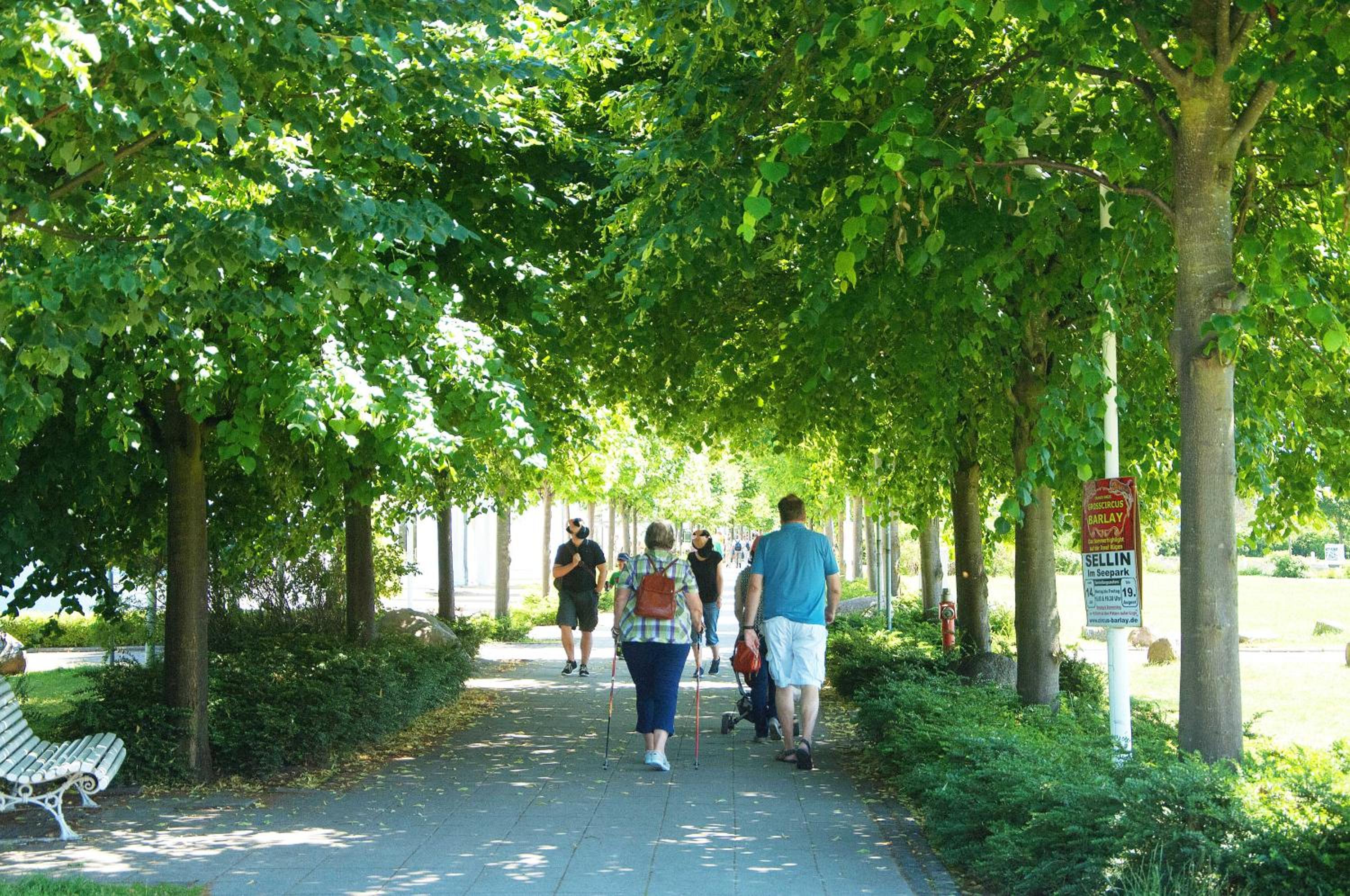 Wohnung 10 im Haus Hühnergott im Seepark