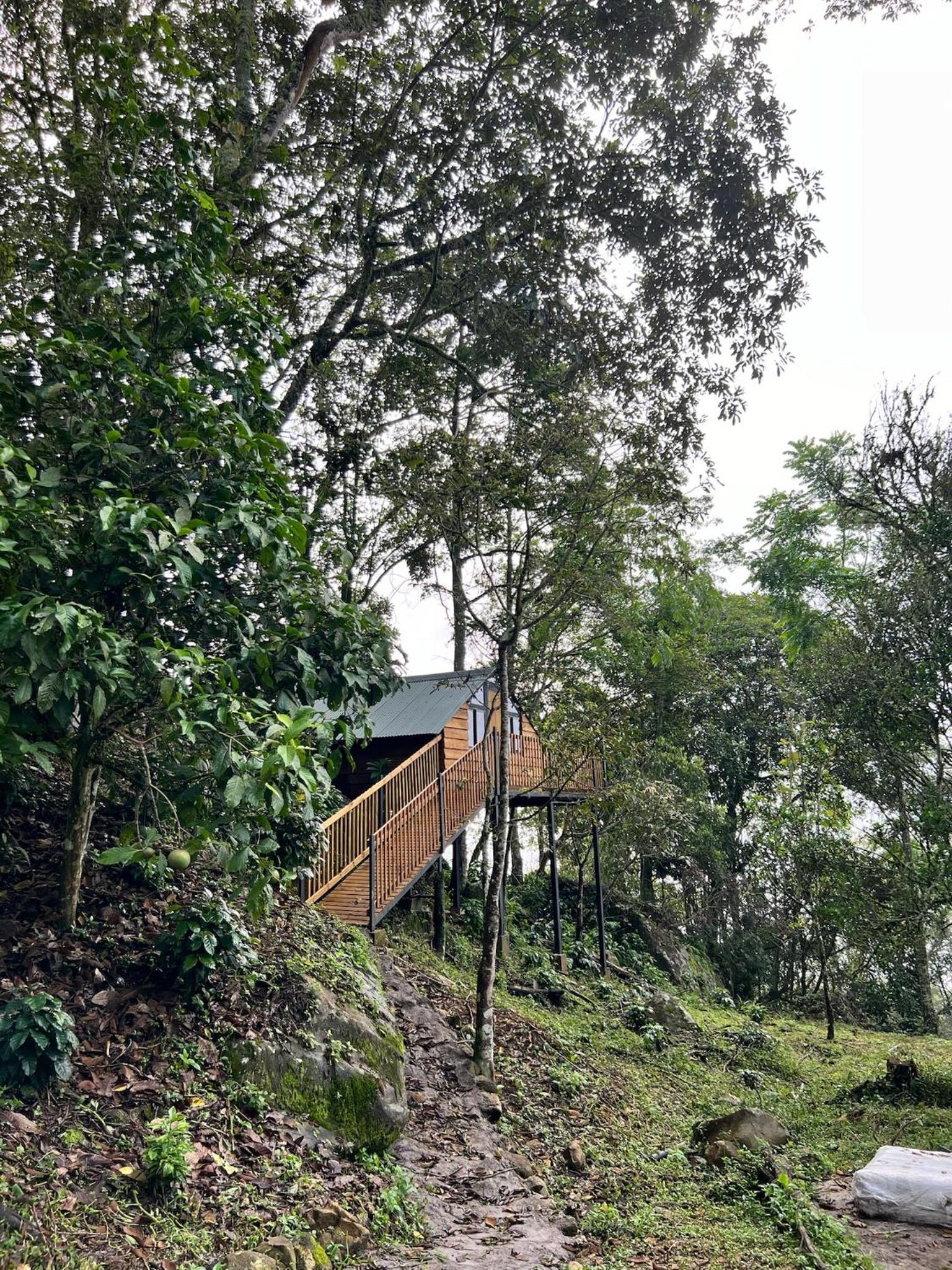 Mirador del Padre