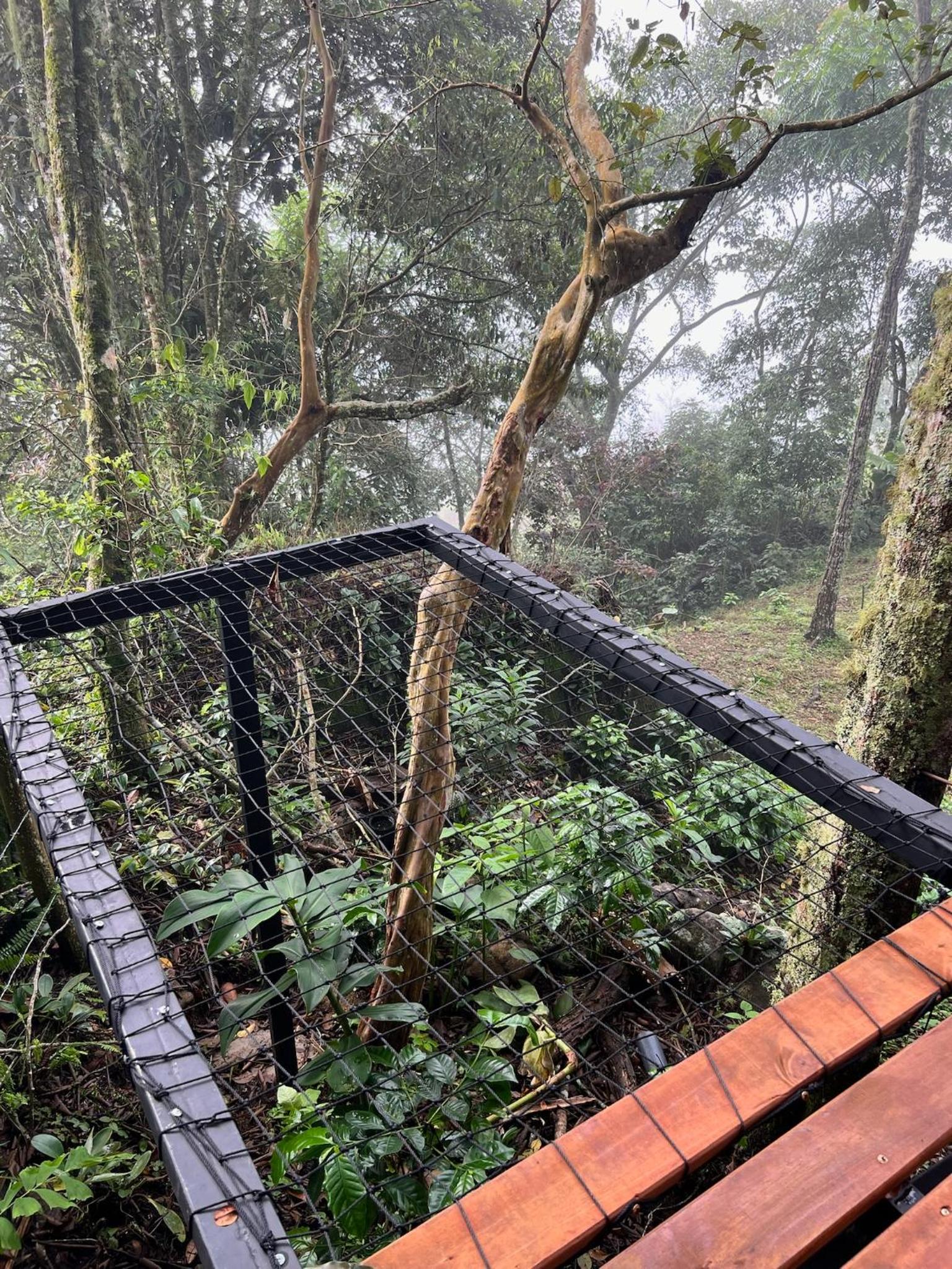 Mirador del Padre