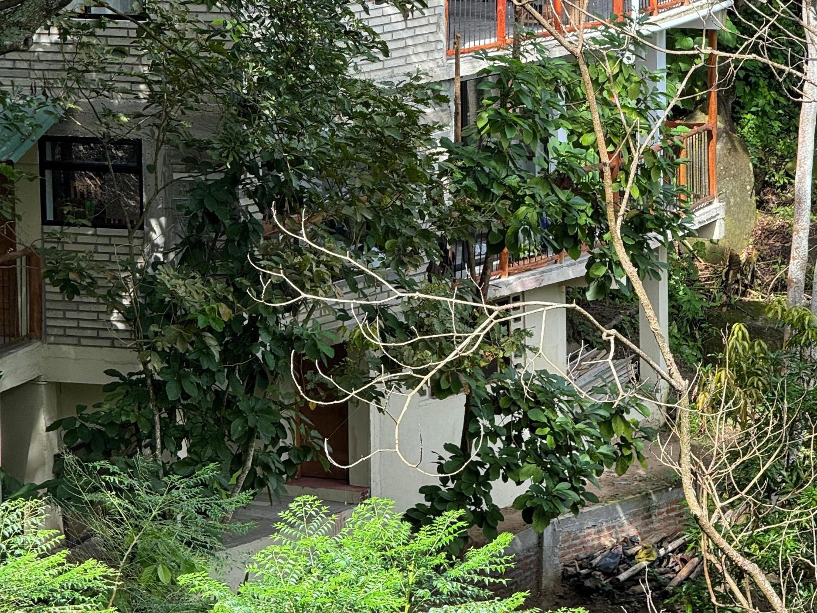 Edén Los Abuelos 1, Casa Privada en Minca Nature