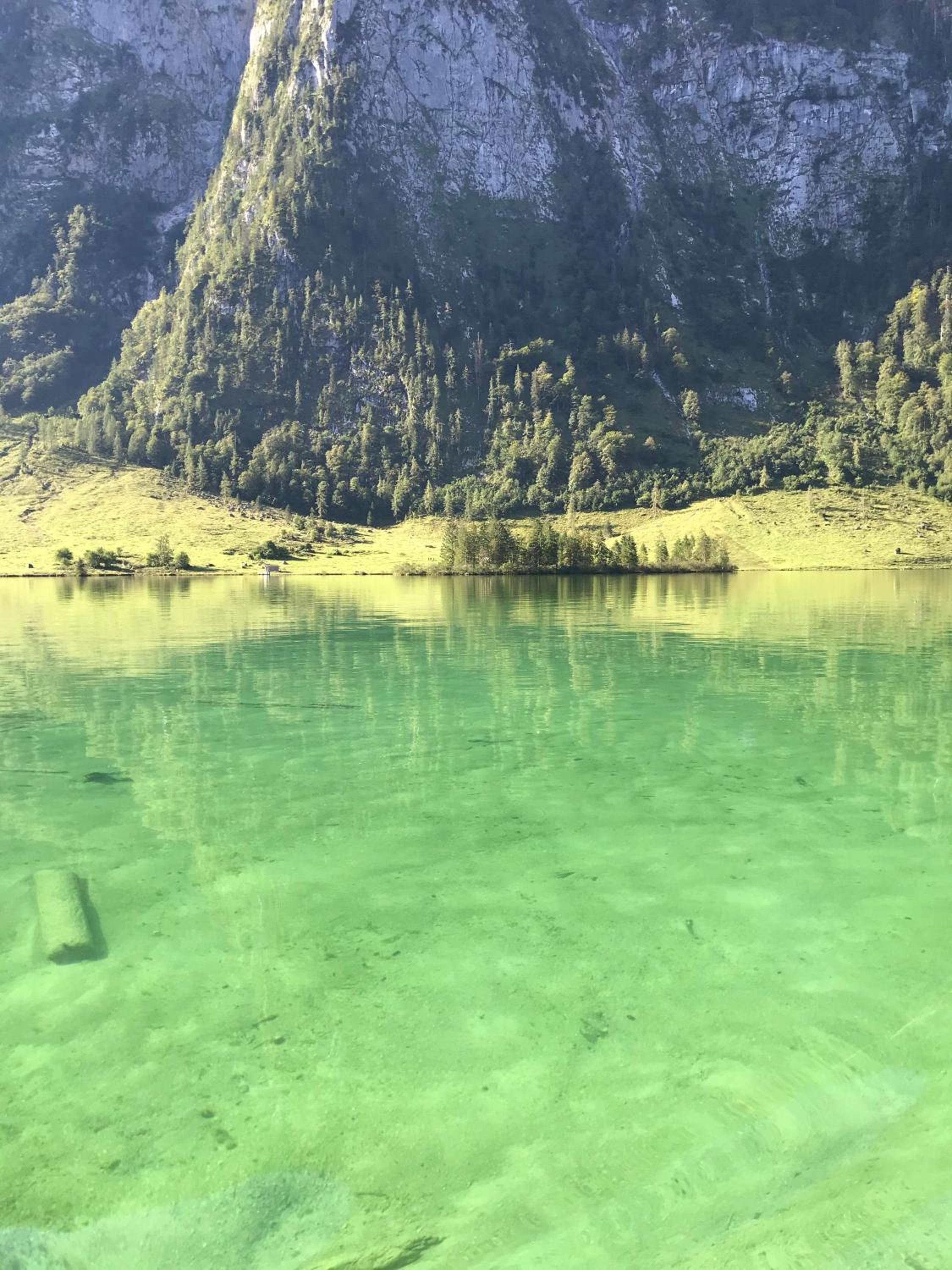 Ferienwohnung Bea´s Bergblick