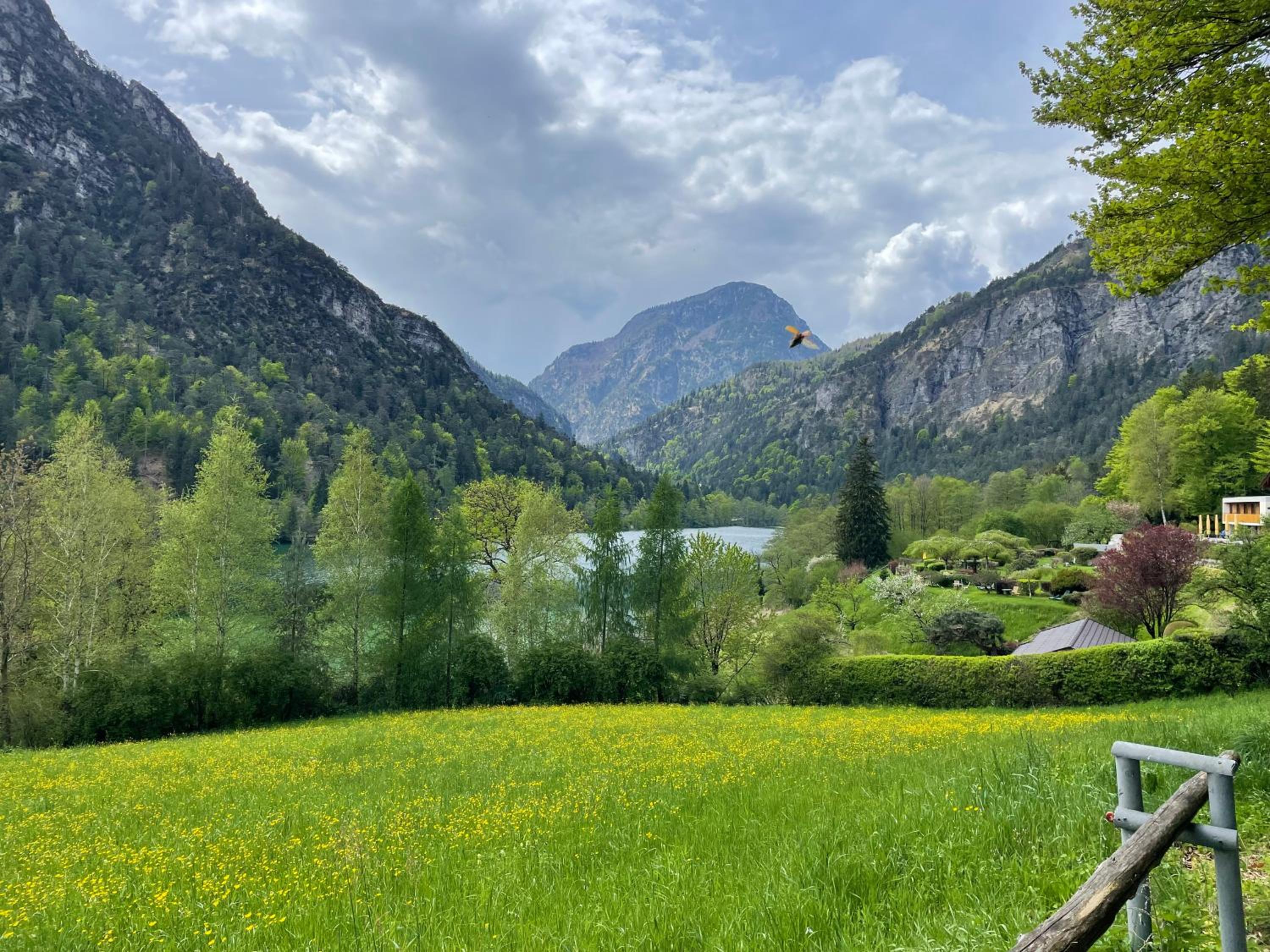 Ferienwohnung Bea´s Bergblick