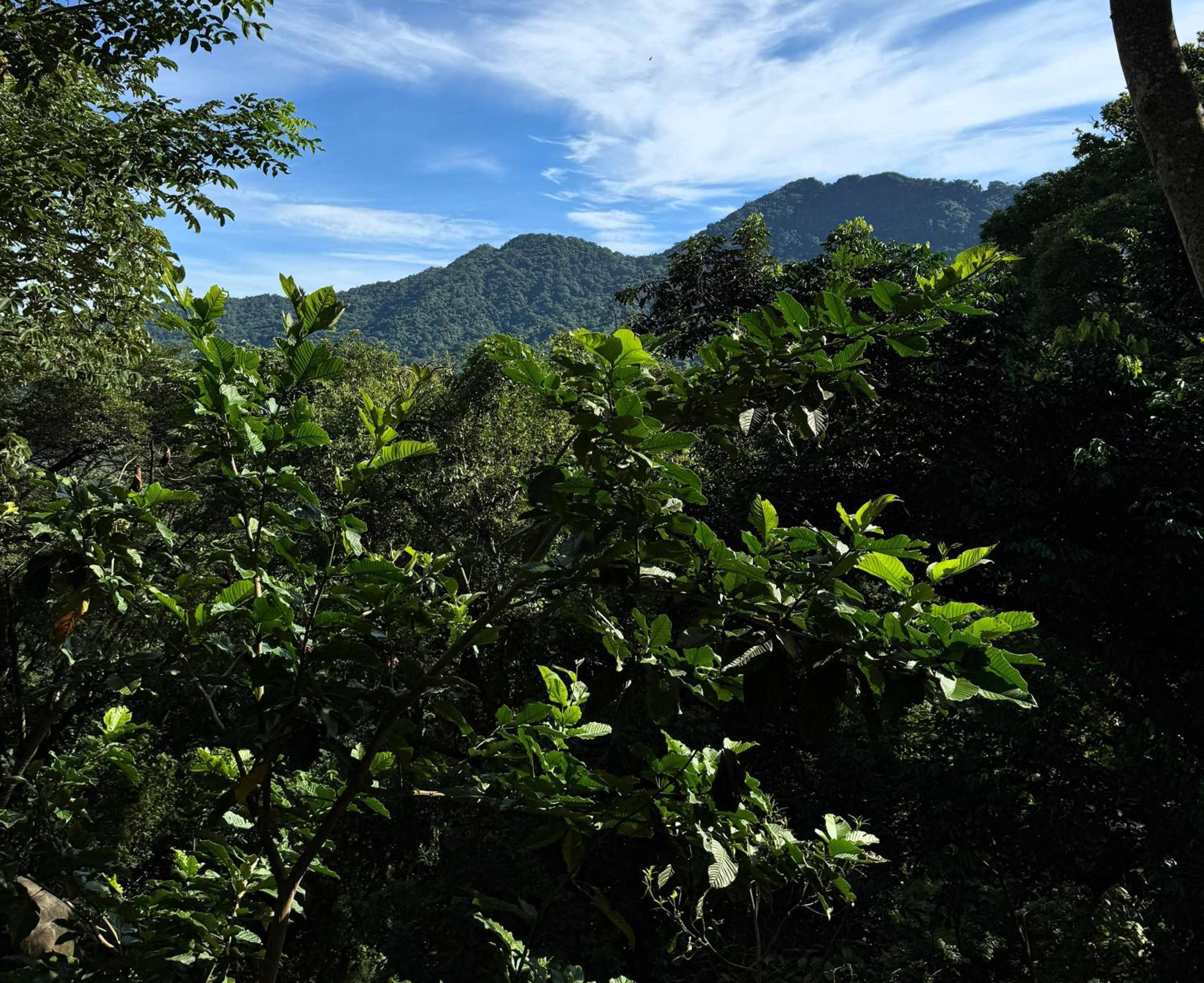 Edén Los Abuelos 2 - Casa Privada en Minca Nature