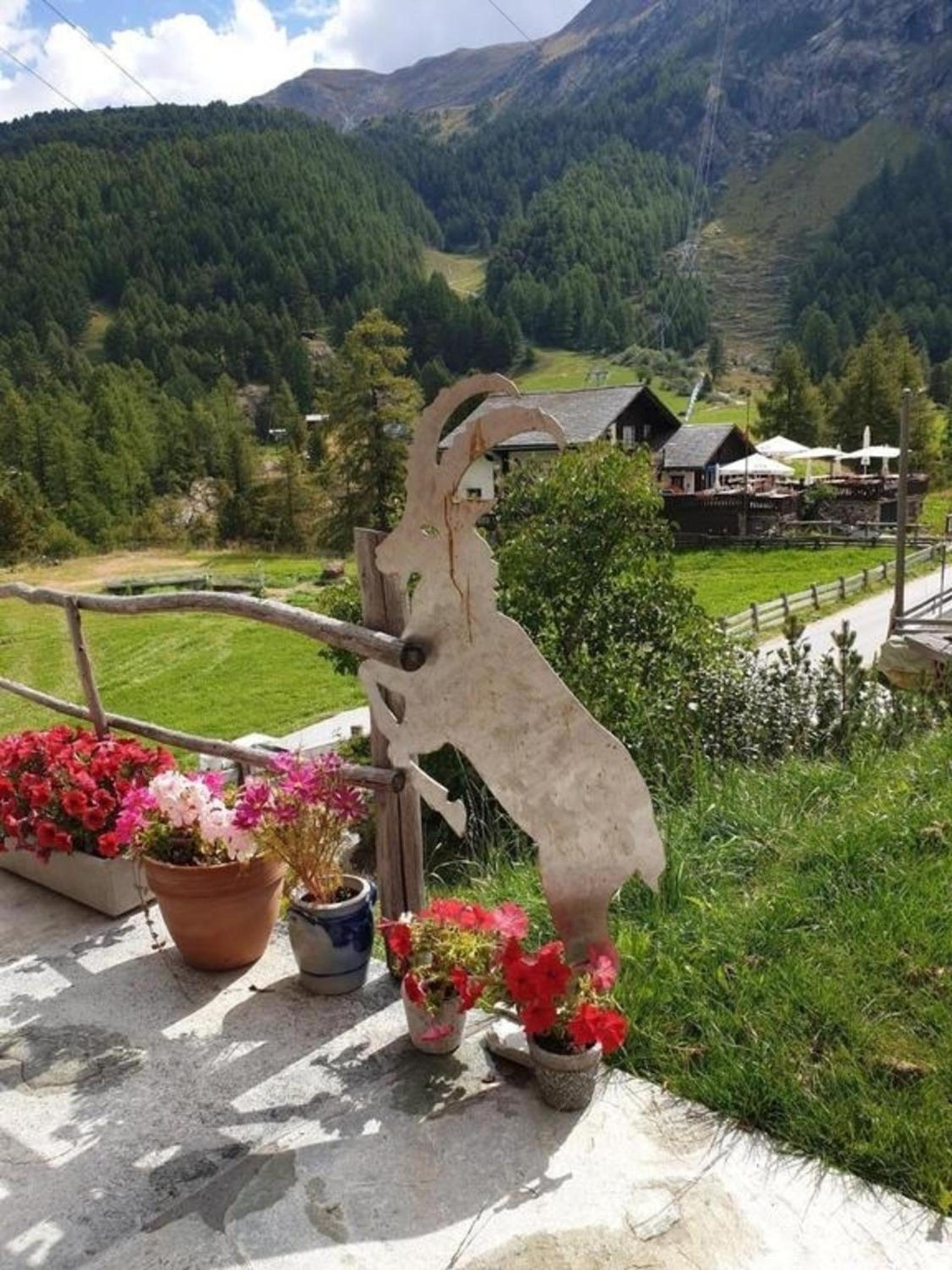 Ferienwohnung Heini direkt an der Piste in Zermatt