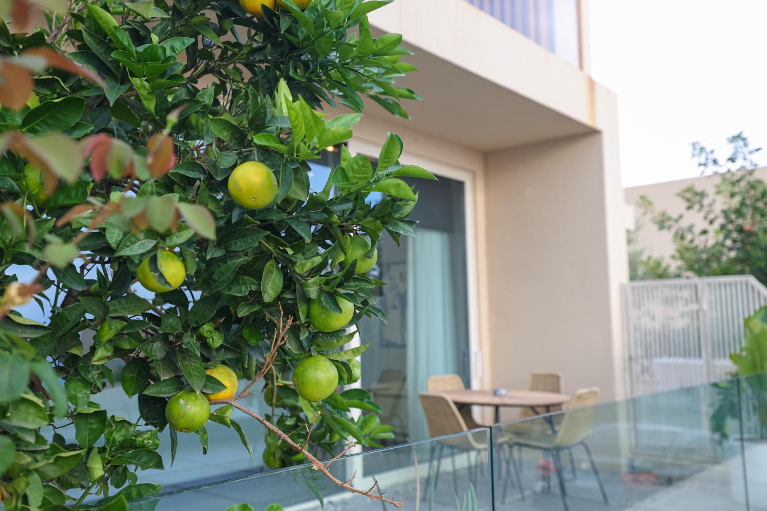 Green Coast Resort V94 photo 2