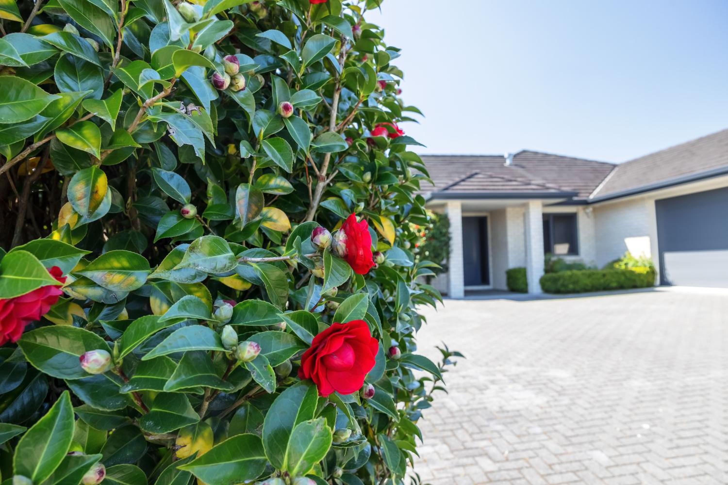 Forest Lakes Luxury