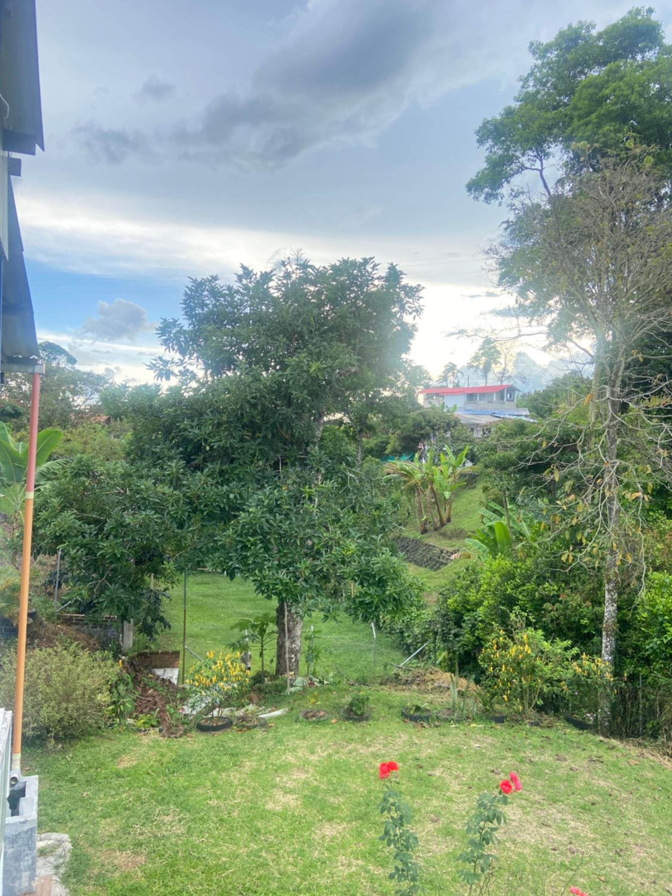 Finca la vaga