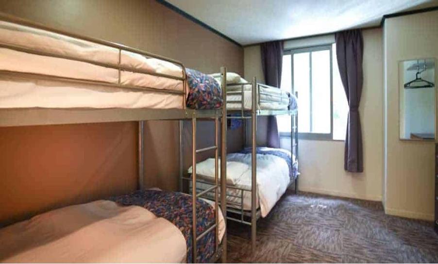 Hakuba Eagle Lodge view 4