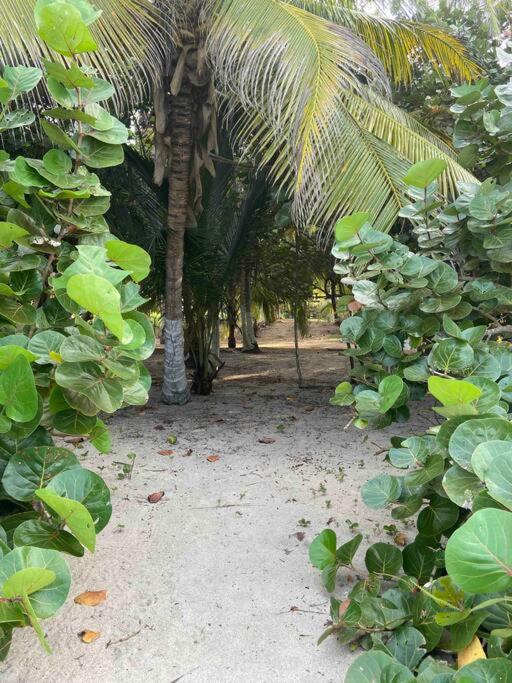 Casa EL VELERO Ecolodge, Palomino Guajira Colombia
