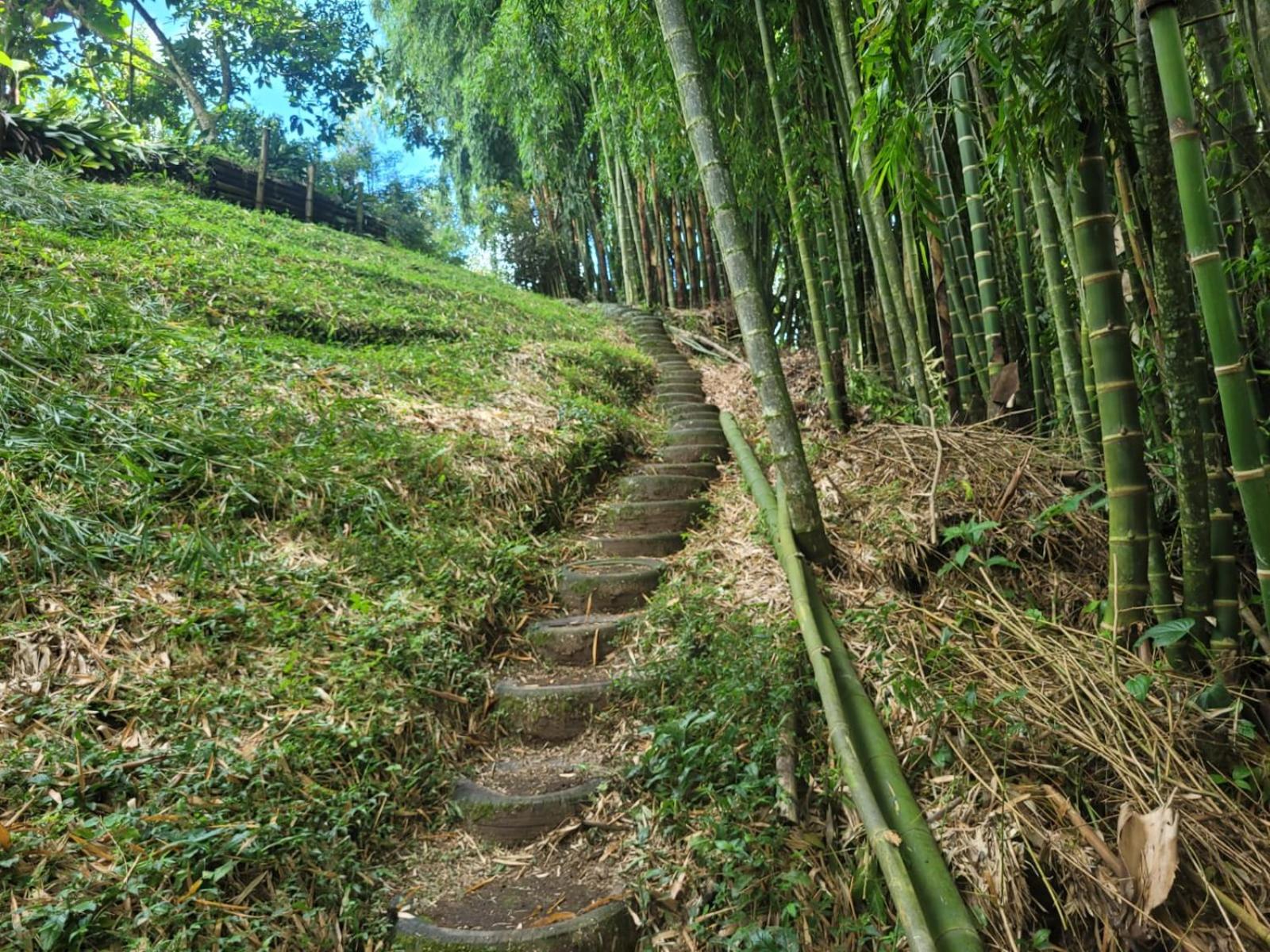 Finca Campestre Villa Panda