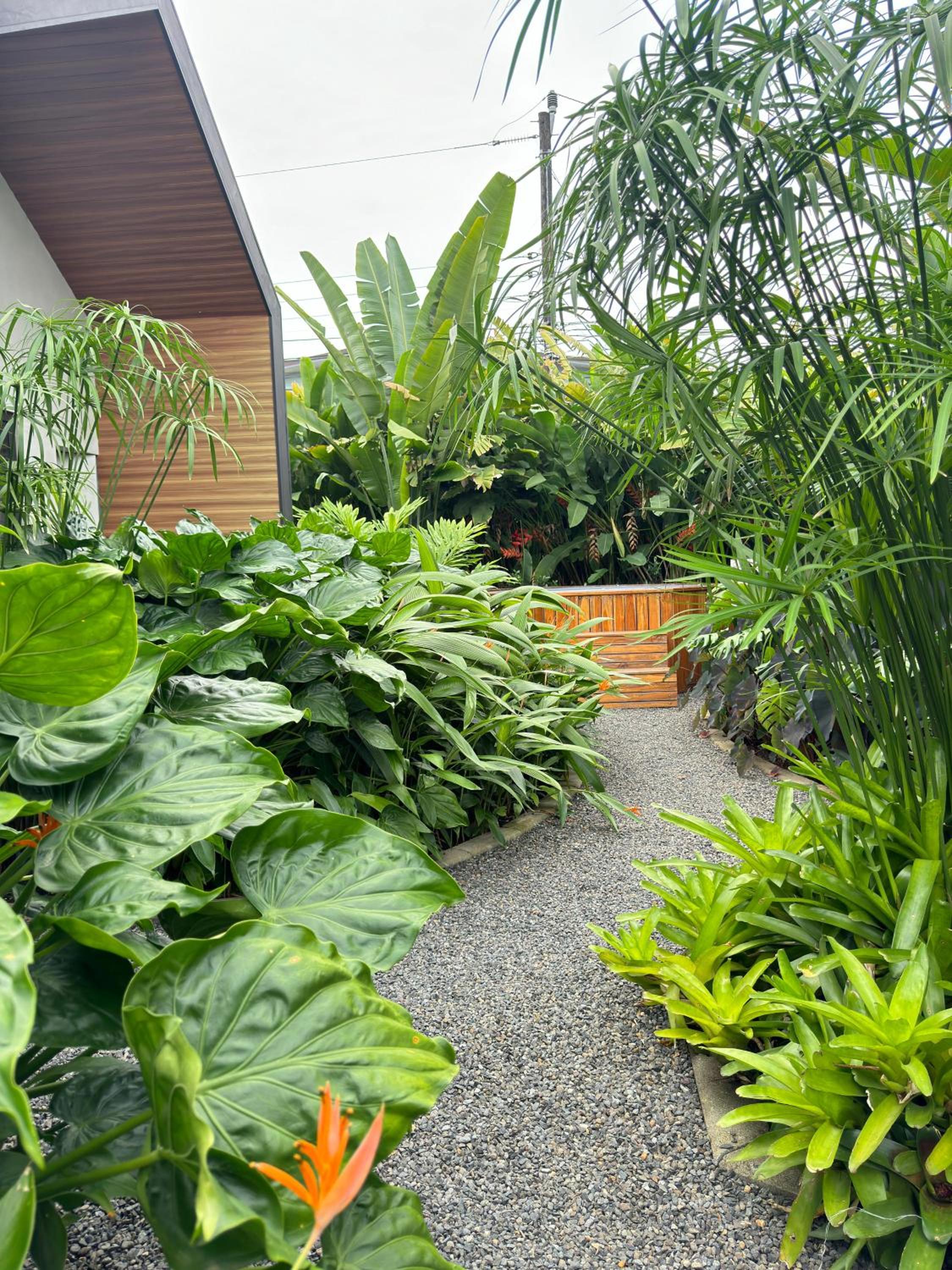 Suwa Villa Arenal