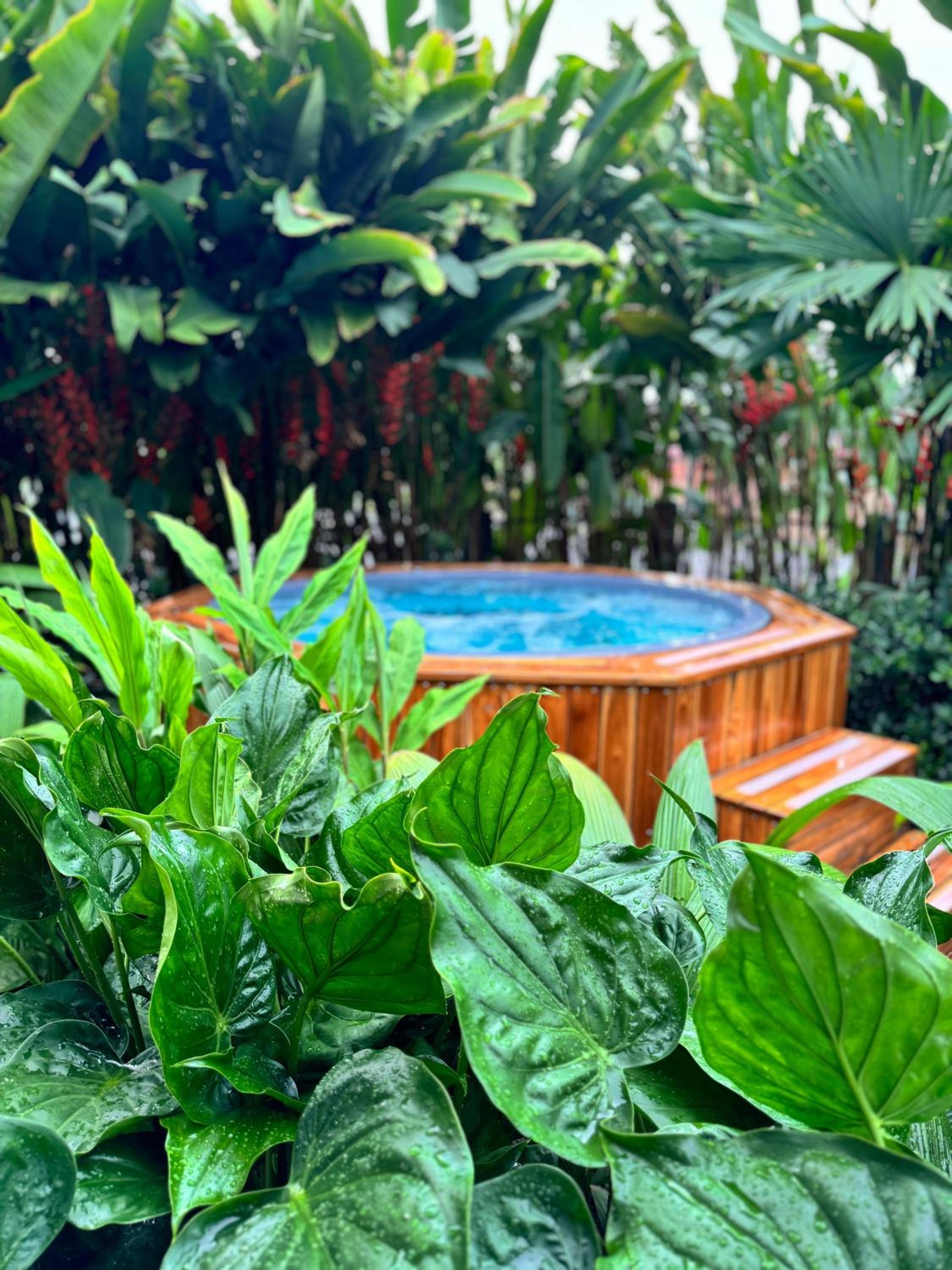 Suwa Villa Arenal