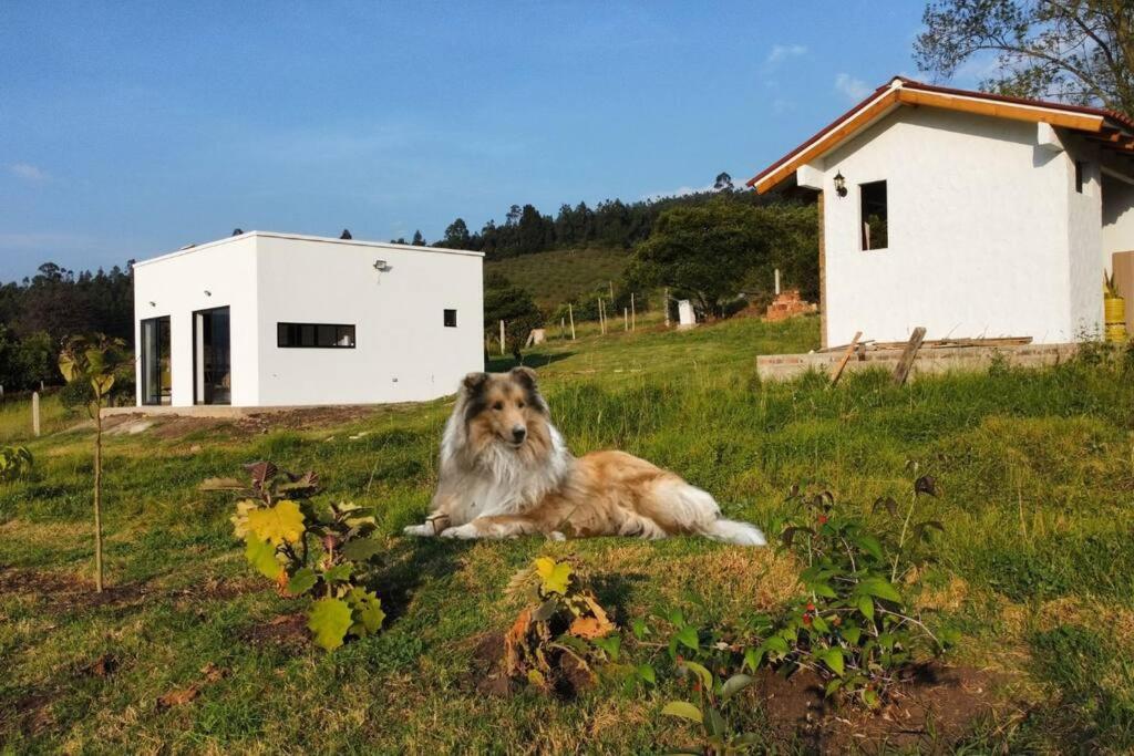 Refugio Sereno
