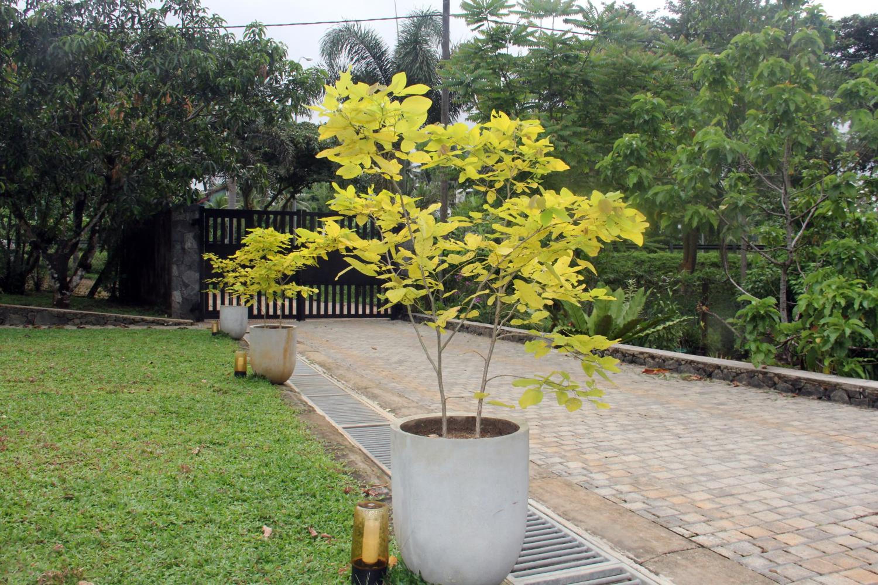 Pahanwatta Villa