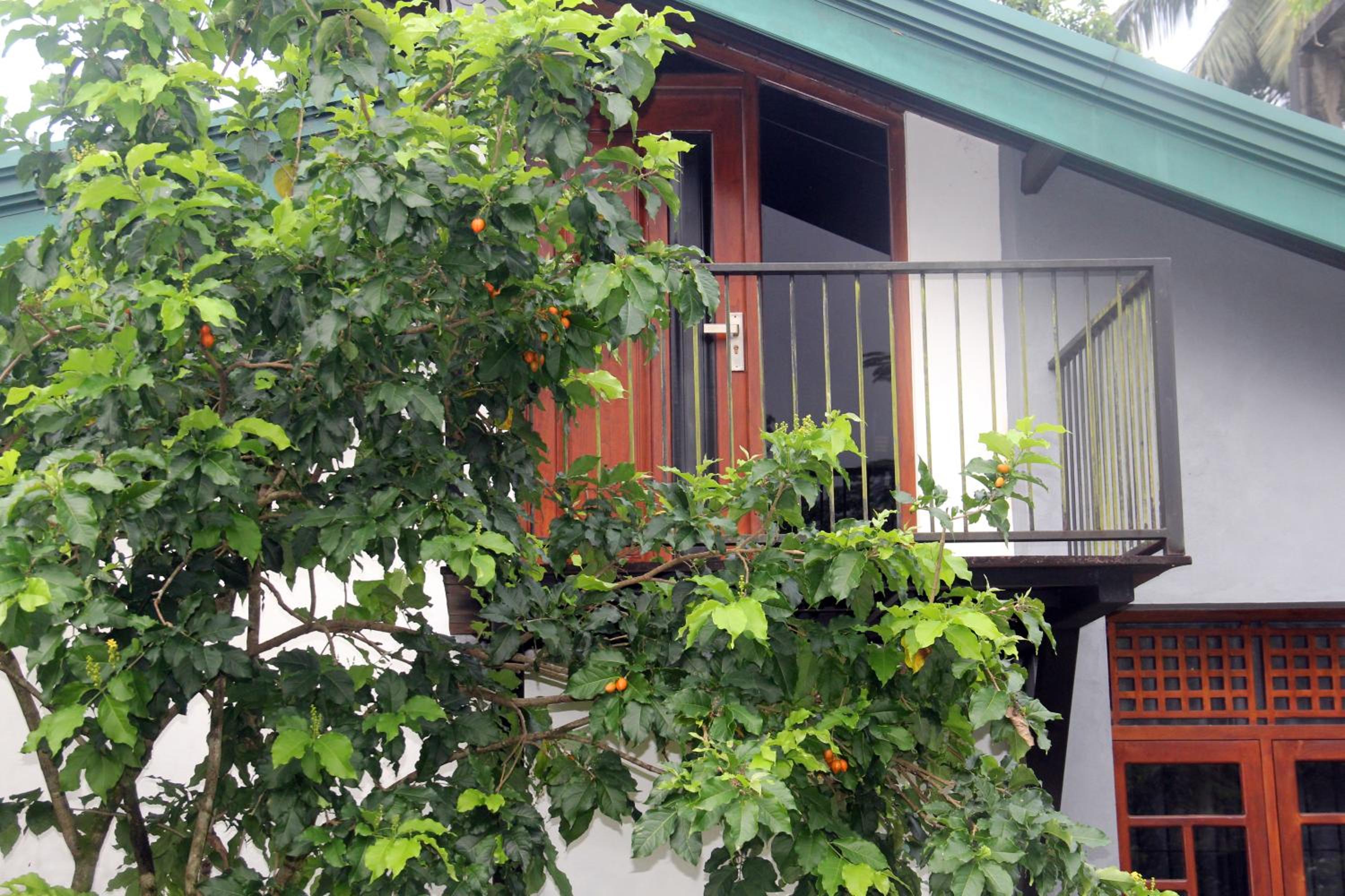 Pahanwatta Villa