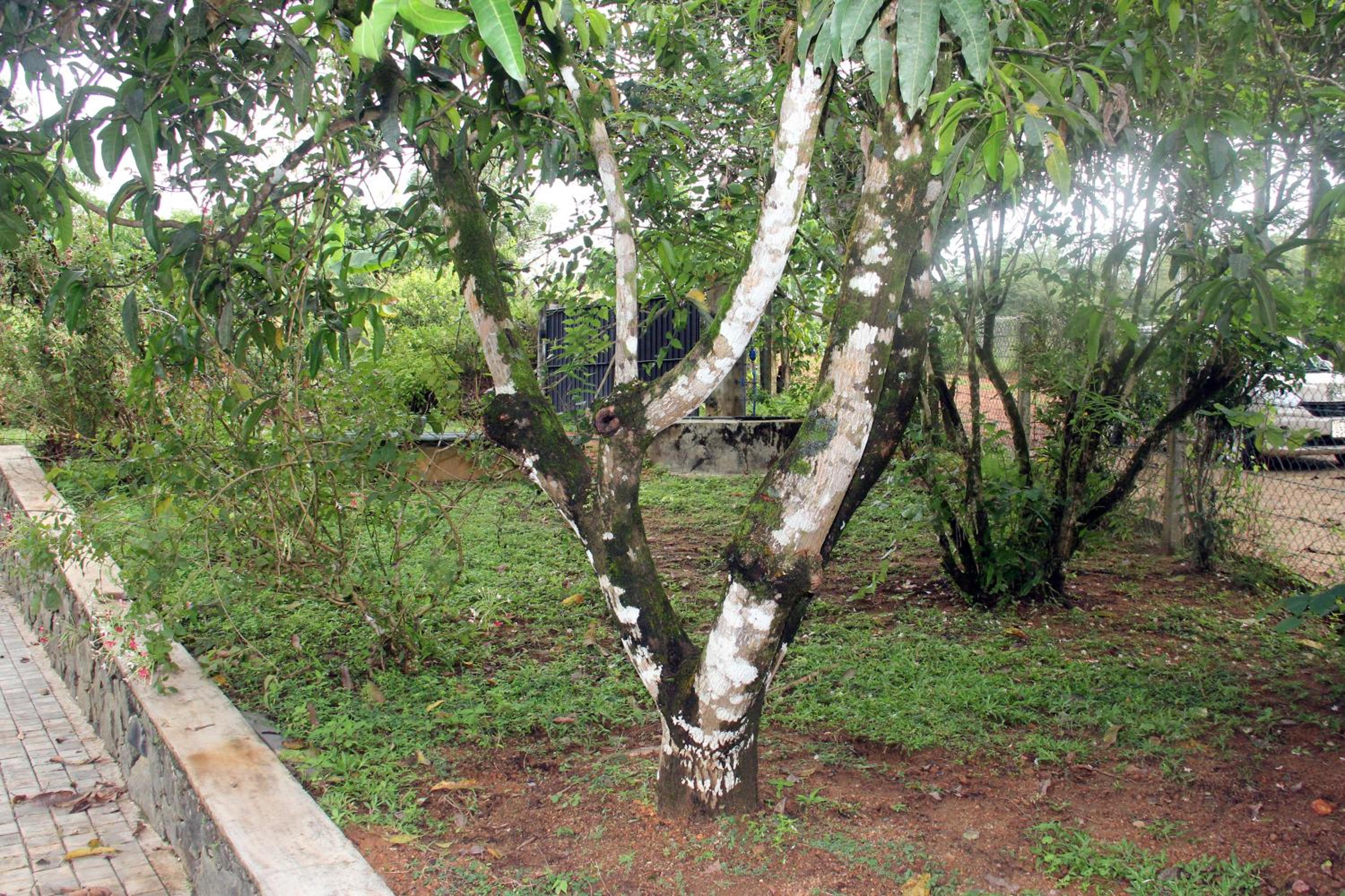 Pahanwatta Villa