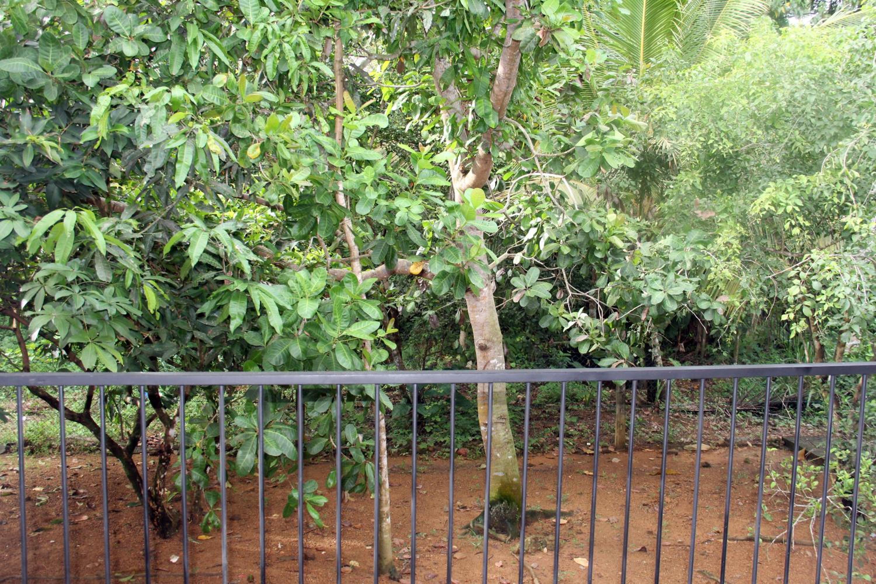 Pahanwatta Villa