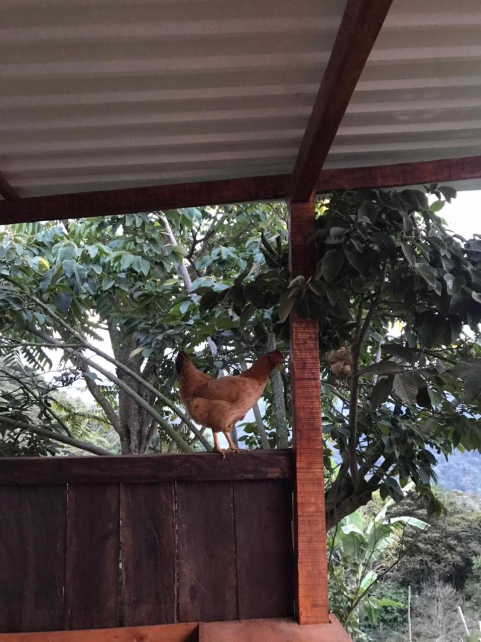 Raíces Agrorefugio