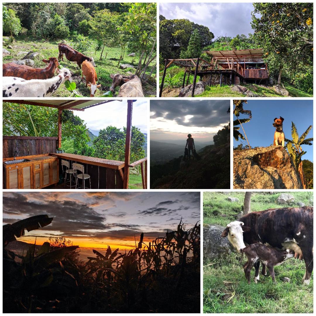 Raíces Agrorefugio