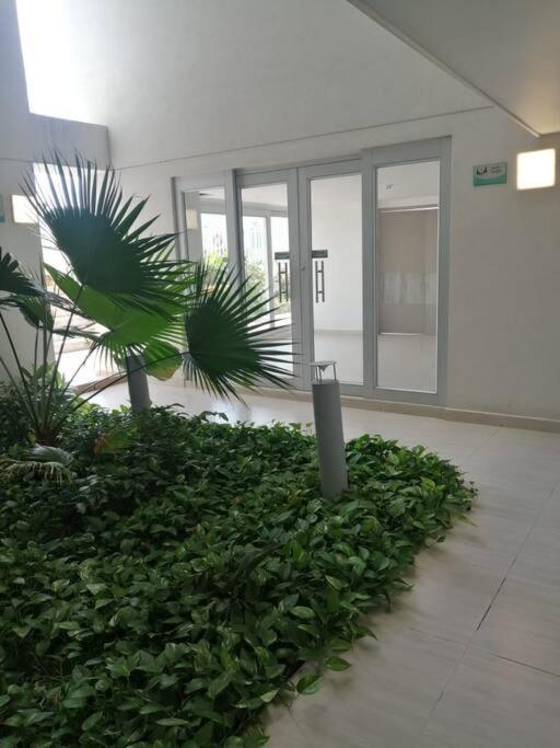 Apartamento en El Rodadero con piscina y jacuzzi