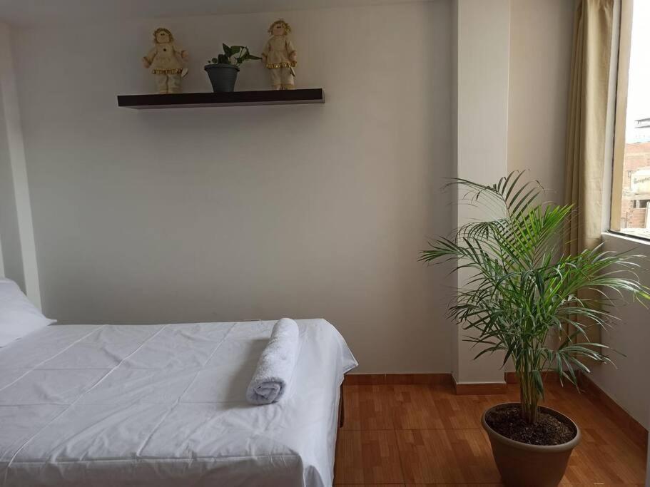 Mamo Apartment