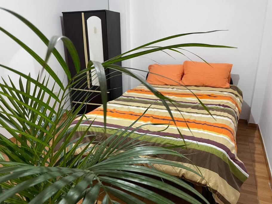 Mamo Apartment