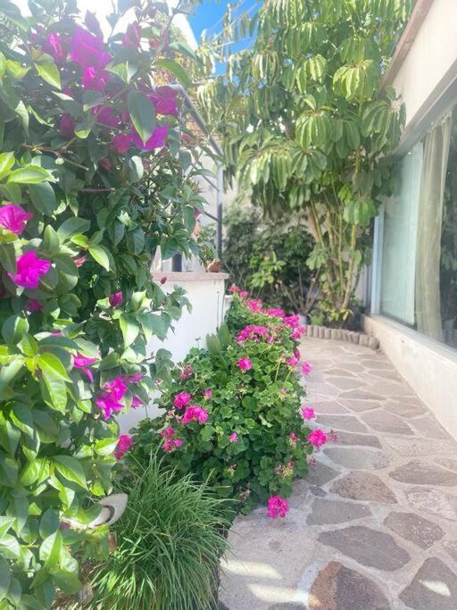Hermoso departamento con vista al mar y privado view 4