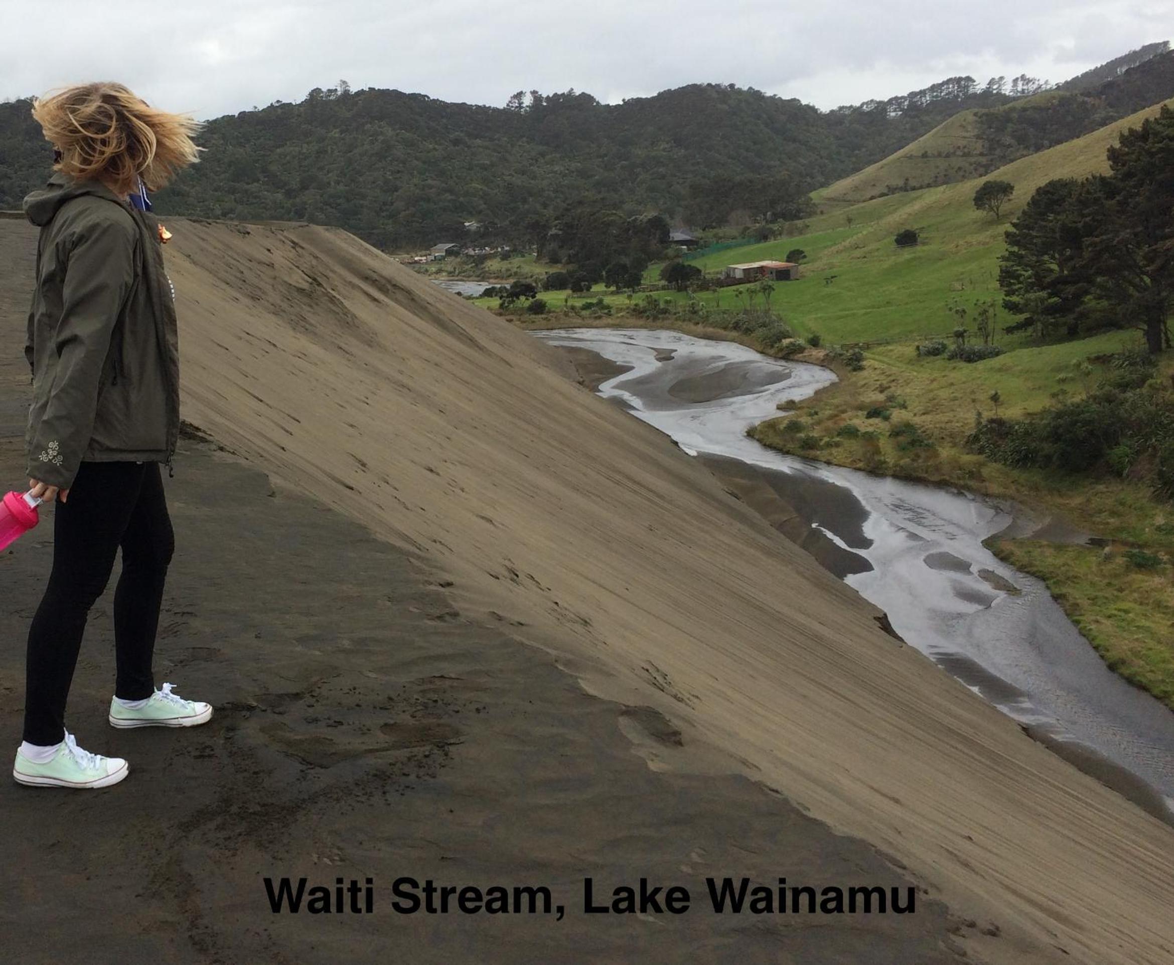 Te Henga Hideaway view 5