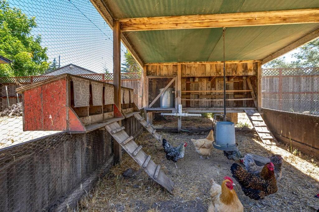 Private Farmhouse on 4 acres w Pool Hot Tub view 5