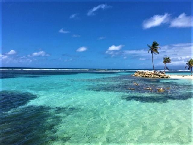 Gwada paradis
