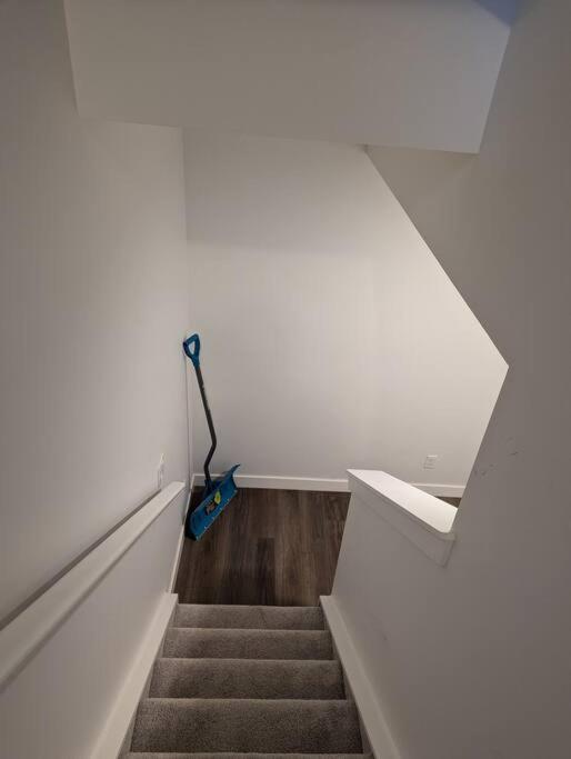 Charming Basement Suite in a Quiet Neighborhood