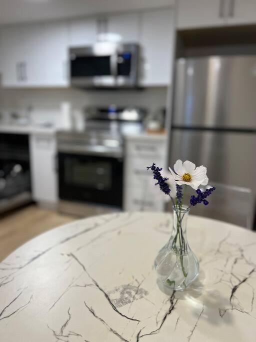 Modern and cozy guest suite in Langley!