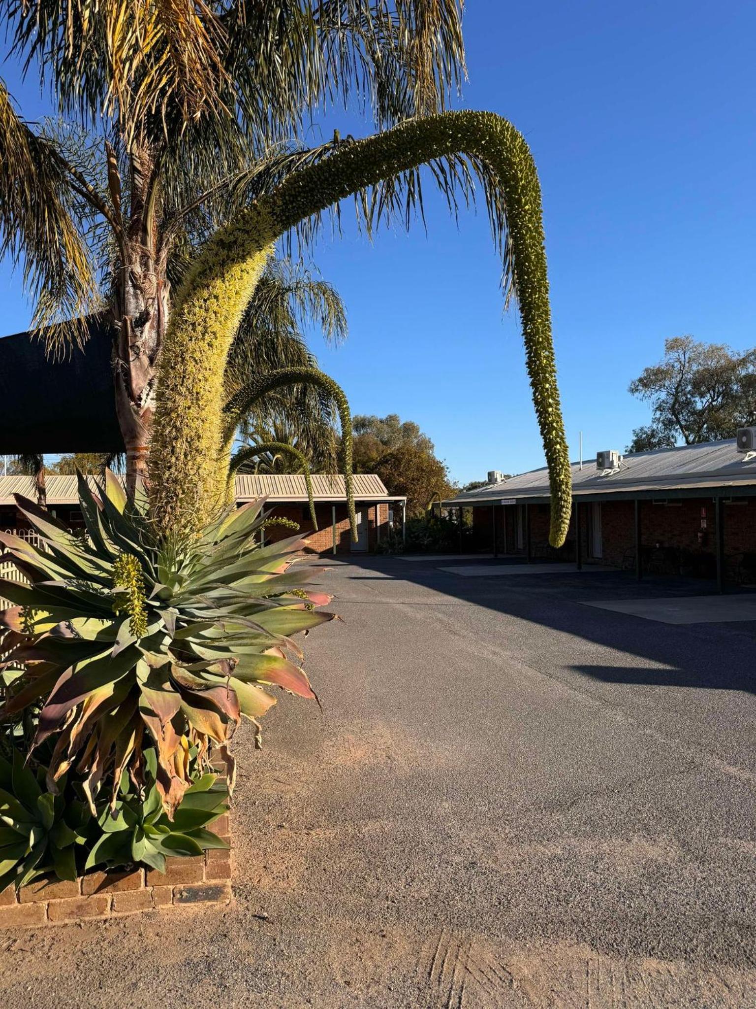 Tooleybuc Motel