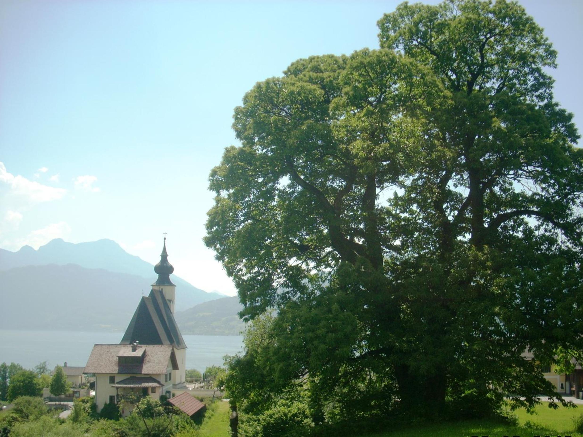 Photo 29
